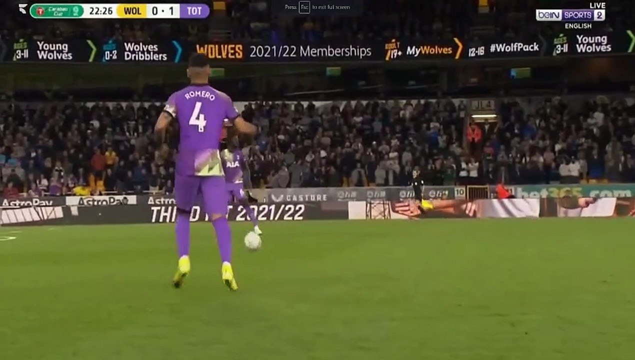 Tottenham goal