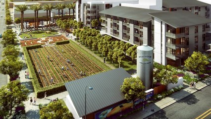 Mixed-Income Housing Complex Has Own Working Farm