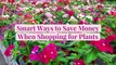 10 Smart Ways to Save Money When Shopping for Plants