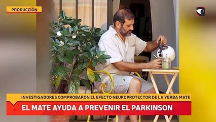Un estudio reveló que el mate ayuda a prevenir el Parkinson