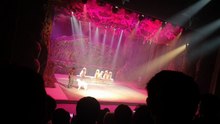 动物表演1 开头表演形式新颖|有趣|好玩|搞笑