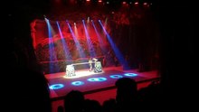 动物表演2  开头表演形式新颖|有趣|好玩|搞笑