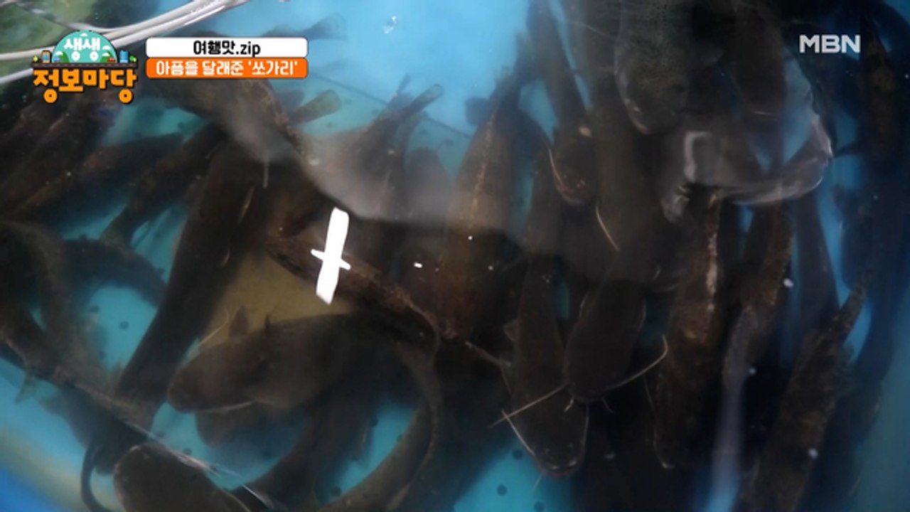 아픔을 달래준 '쏘가리'
