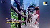 Monkey in China steals woman’s bag as she dances