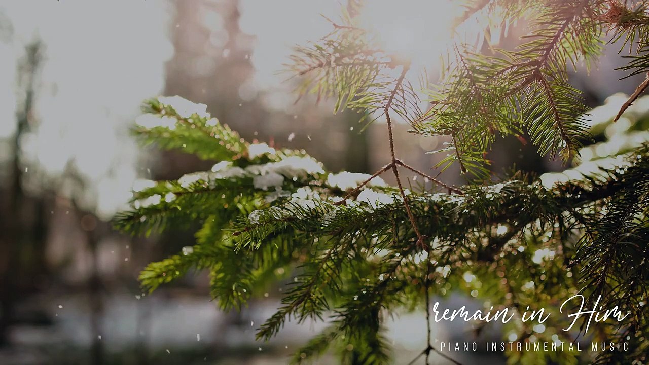 Piano Instrumental Music #stay at home