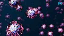 Coronavirus: India records 31,923 new cases, 282 deaths