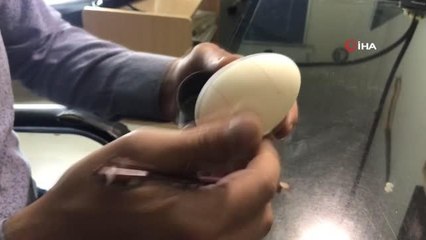 Tavuk yumurtasından sanata giden bir yol