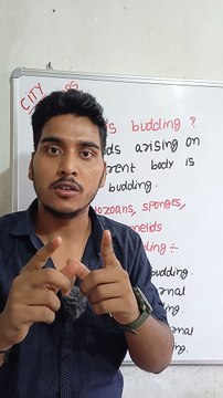 Budding | Budding in Hindi | Budding biology | what is budding #cityclasses
