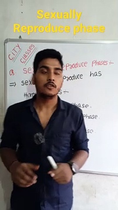 Sexually Reproduces phases | sexually reproduces phases in Hindi | sexually reproduces phases biology #cityclasses