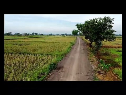 4 Amalan Yang Mendatangkan Rezeki - Syekh Ali Jaber