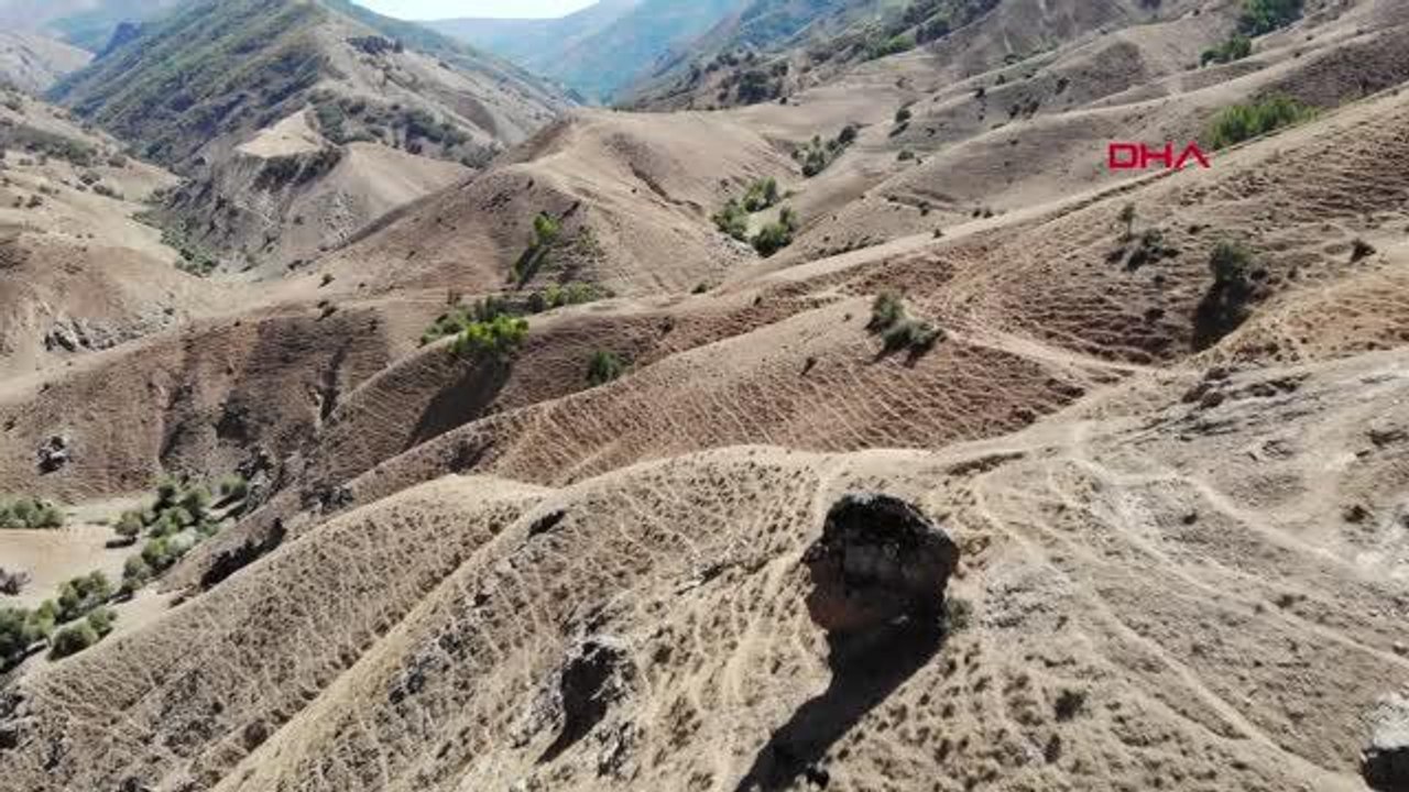 'OVAYA BAKAN ADAM' KAYASI