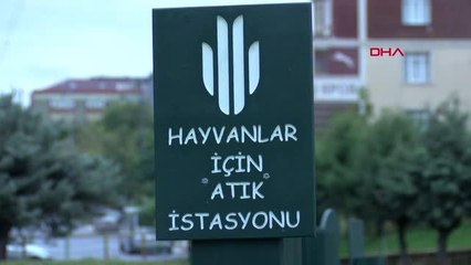 İSTANBUL-Avrupa standartlarındaki 'Minik Dostlar Hayvan Parkı' açıldı