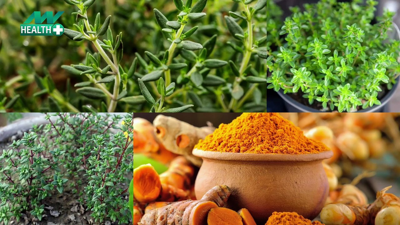 Get rid of Alzheimer's and memory loss, a clenched fist full of these