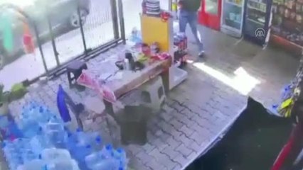 Hırsızlık ve dolandırıcılık şüphelisi tutuklandı