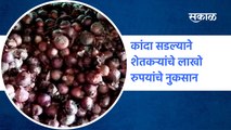 Aurangabad News | कांदा सडल्याने शेतकऱ्यांचे लाखो रुपयांचे नुकसान | Farmers  | Onion | Sakal Media