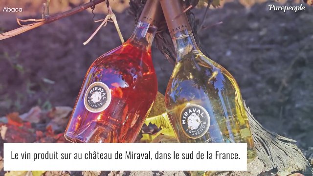 Angelina Jolie et Brad Pitt s'arrachent leur château de Miraval : coups bas et gros sous...