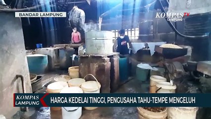 Descargar video: Harga Kedelai Tinggi, Pengusaha Tahu Tempe Mengeluh