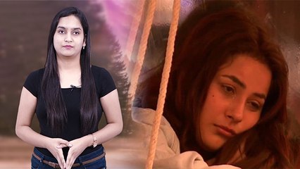 Sidharth Shukla Demise के बाद क्या Shehnaaz Gill Shooting करेंगी ? WATCH VIDEO | Boldsky