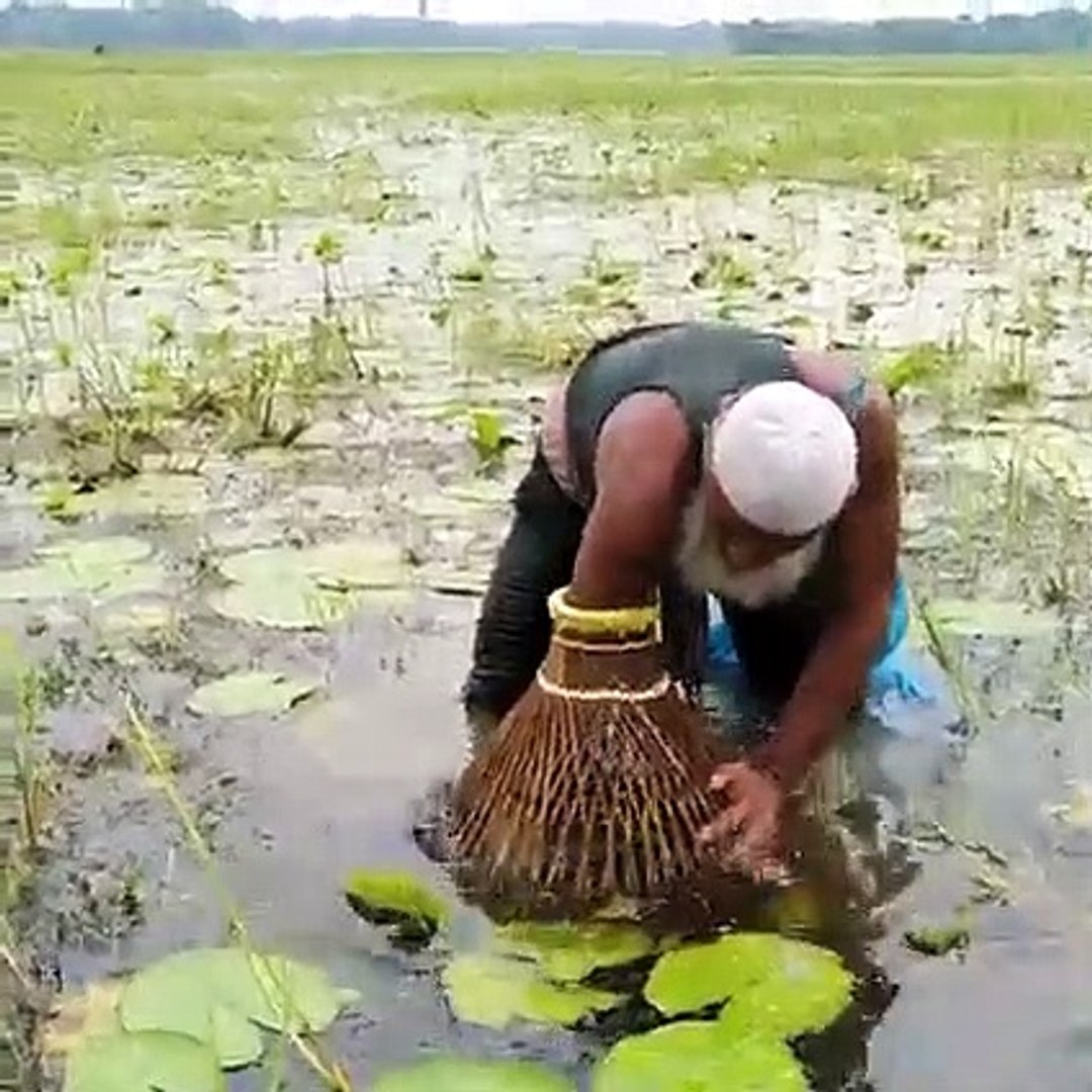 ⁣Polo Fishing - Fishing with Bamboo Tools - Awesome Traditional Fishing- Fishing with Polo