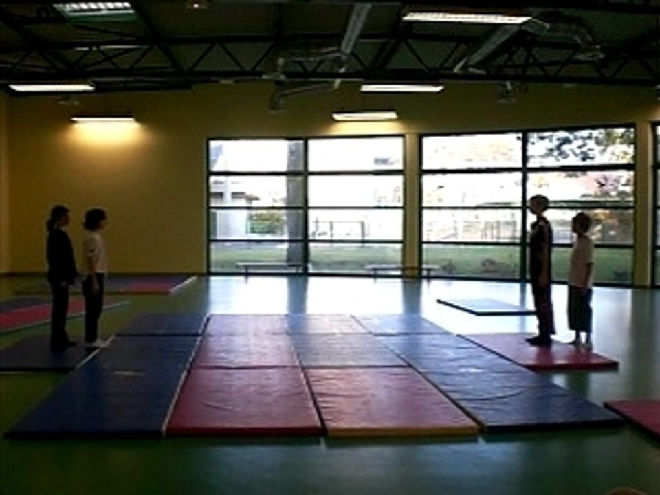 Acrogym-Les Robots