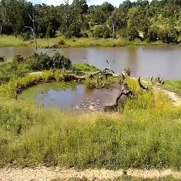 Wild Africa-20210908-5