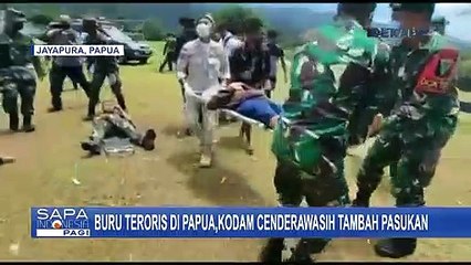 Buru Teroris di Papua, Kodam Cenderawasih Tambah Pasukan