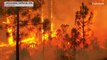 شاهد: فرق الإطفاء تهب لحماية أشجار السيكويا العملاقة من الحرائق في غابات كاليفورنيا