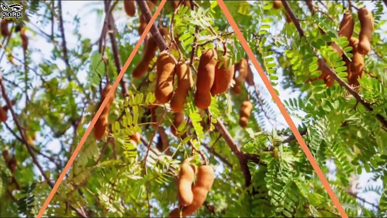 এবার শুনুন 'ঘুমের সময় কিভাবে ১টি ফ্যান আপনার জীবনের ১২টা বাজাতে পারে!' Is it My