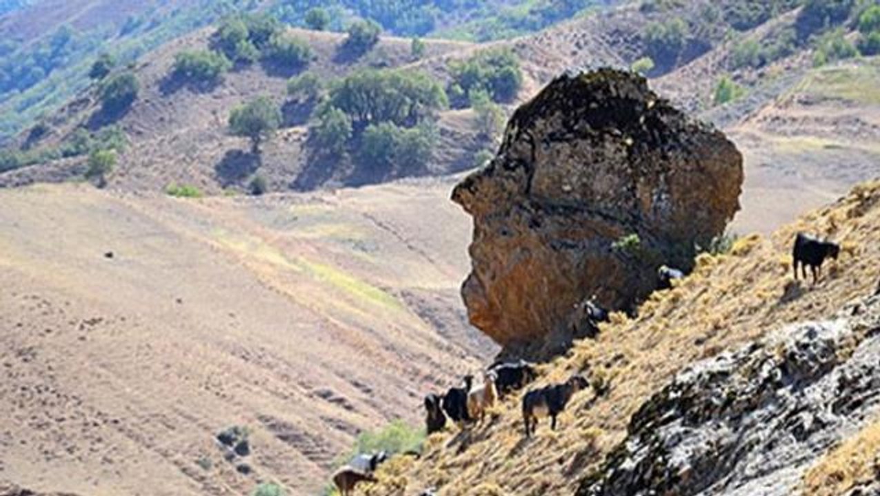 Nuh tufanından kaldığı düşünülüyor! Ovaya Bakan Adam kayası turizme kazandırılacak