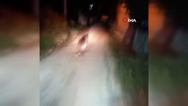 Mahalle meydanına inen ayıyı ormana böyle kovaladılar