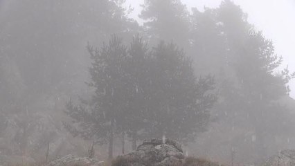 Kartalkaya'da kar yağışı başladı