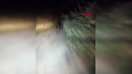 MAHALLEYE İNEN AYIYI GÖRÜNTÜLEDİLER