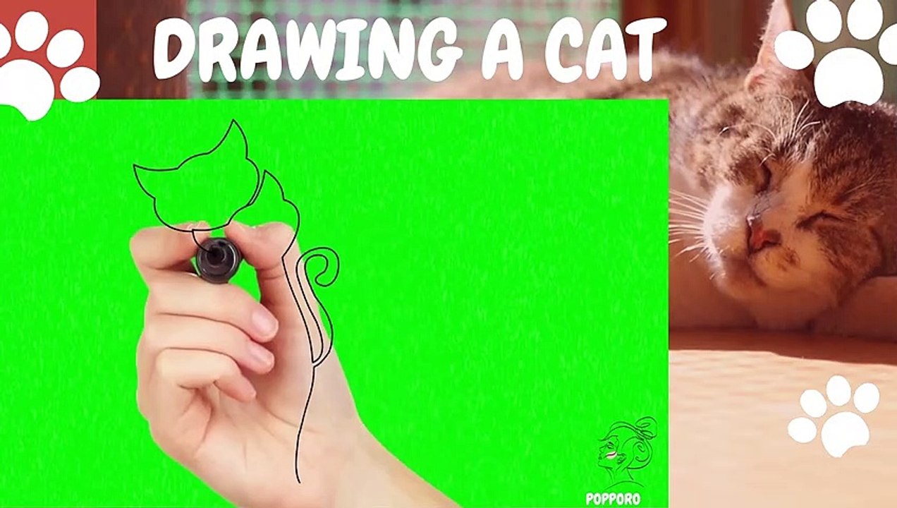 Drawing a cat