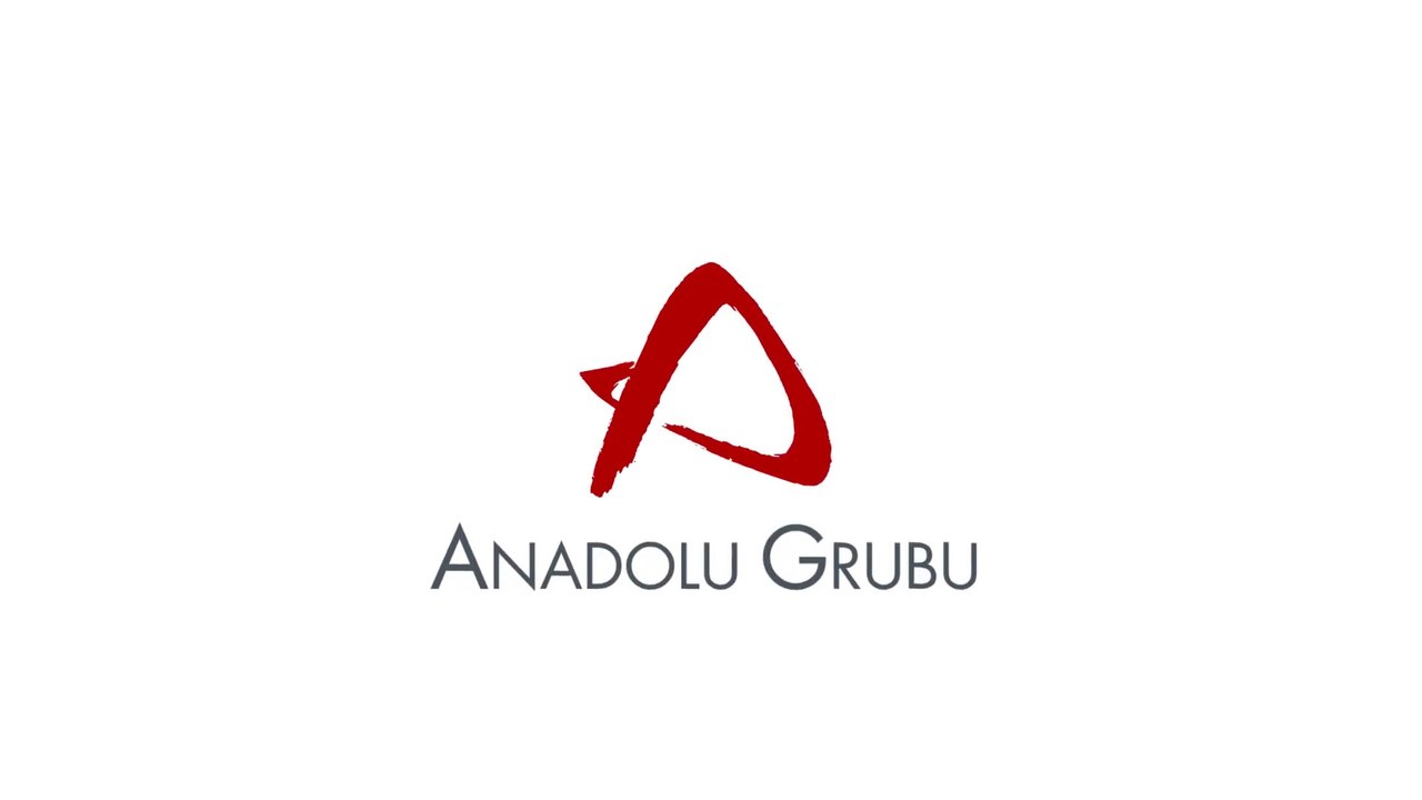 Anadolu Grubu Değerleri