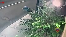 Elderly Woman Fights Off Robber as He Tries to Snatch Her Bag