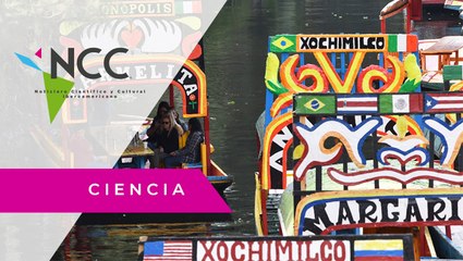 Científicos mexicanos rescatan canales de Xochimilco con nanotecnología