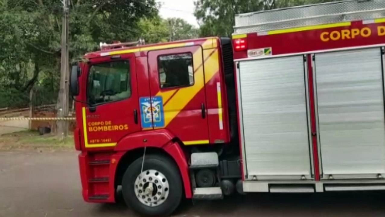 Cães são atacados por enxame de abelhas no Bairro Maria Luiza, em Cascavel