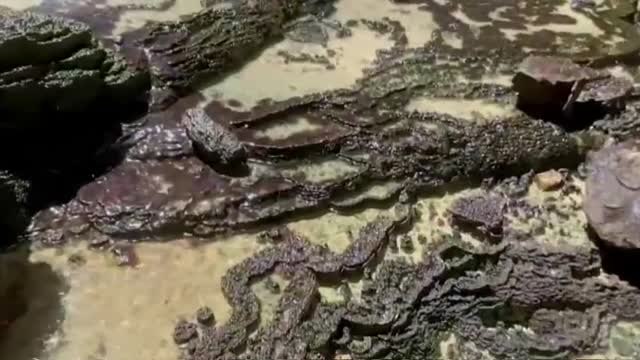 Espeleólogos se adentran en la cueva del infierno en Yemen, un agujero de 112 metros de profundidad