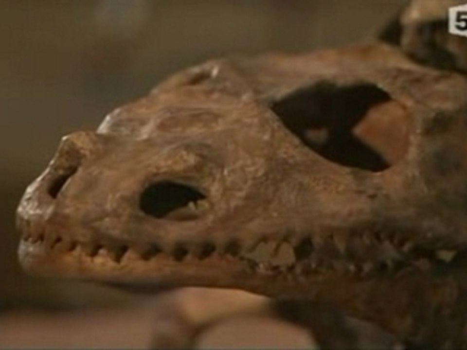 évolutionnisme vs créationnisme 2/3