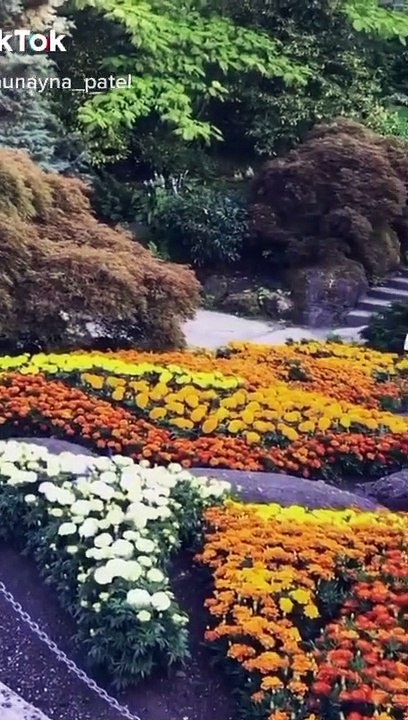 Beutiful Park