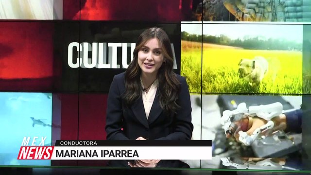 ¿CUÁL ES LA CLAVE DEL ÉXITO DE APPLE?