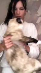 Cat Claw Gets Stuck After Pawing Owners Face