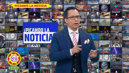 Lava del Volcán Cumbre Vieja arrasó con 150 hectáreas