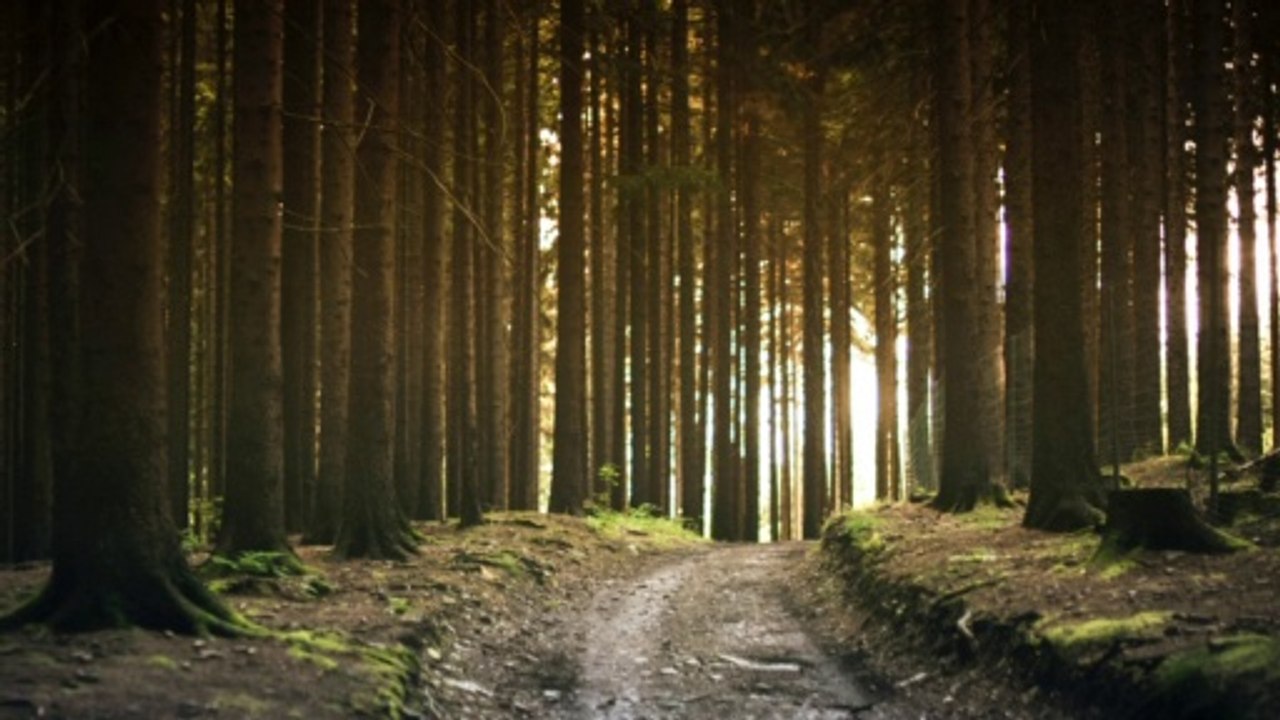 Cover dan Lirik Perlahan - GUYONWATON Akustik (Cover ANGGA CANDRA)