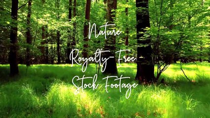15 Beautiful Nature | Natural Beauty | Beautiful places