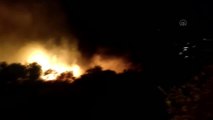 Bodrum'da tarım arazisi ve makilik alanda yangın çıktı