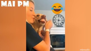 Funny Dog Videos 2021  TRY NOT TO LAUGH with Dog's Life