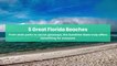 5 Great Florida Beaches