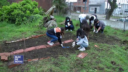 Red de vecinos comprometidos con el medio ambiente