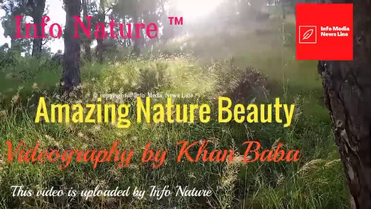 Amazing Nature Beauty